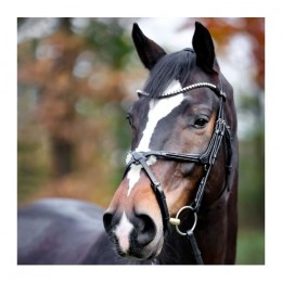 Kavalkade Bridle Lucia Mexican Noseband