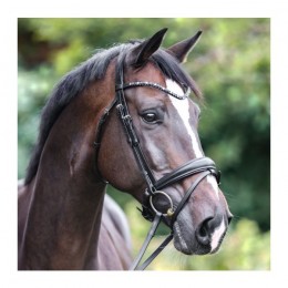 Kavalkade Bridle Ocean