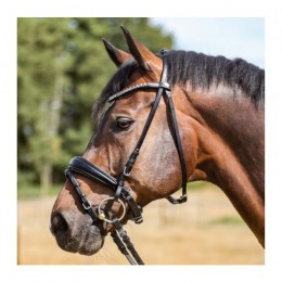 Kavalkade Bridle Ayana