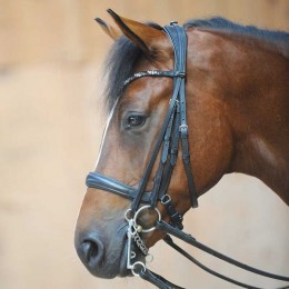 Kavalkade Ivonne Combi Bridle Snaffle and Double