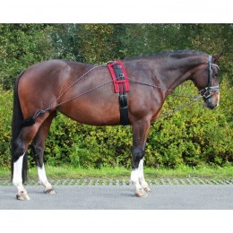 QHP Lunging aid rein