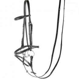 Harry's Horse Bridle Bronze