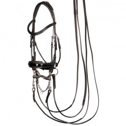 Harry's Horse Double bridle Grand Prix