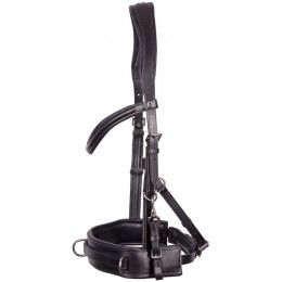 Harry's Horse Cavesson Bridle Leather Comfort
