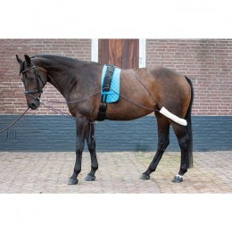 Harry's Horse Lunging support system
