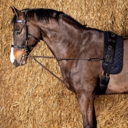 Harry's Horse Lunging cord V-line with snap hooks