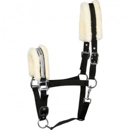 Harry's Horse Headcollar Lyrics V