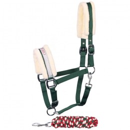 Harry's Horse Headcollar Set Lyrics Christmas