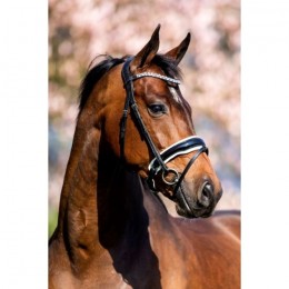 HB Showtime Bridle Fancy Patent