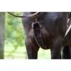 Чехол для подперстья из искусственной овчины Kentucky
