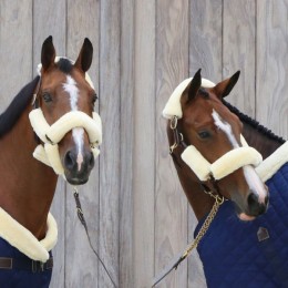 Kentucky Halter Furs