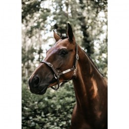 Kentucky Leather Halter Flexible