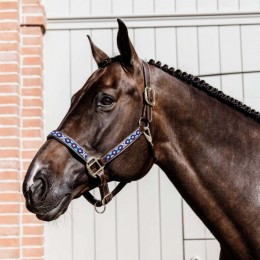 Kentucky Pearls Halter