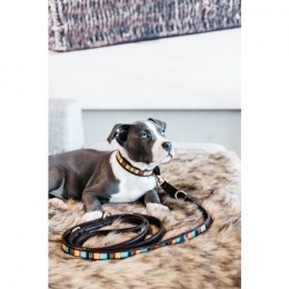 Kentucky Dog Lead Handmade Pearls