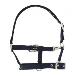 Norton Foal Halter Respirant