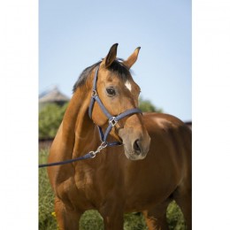 Equithème Glitter Halter and rope