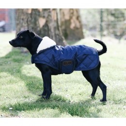 Kentucky Dog Coat