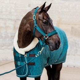 Kentucky Velvet Halter