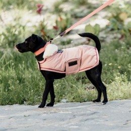 Kentucky Dog Coat Waterproof Coral