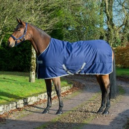 Bucas Freedom Stable Rug