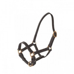 HB Leather Mini Foal Halter