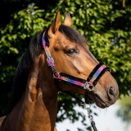 HB Halter Funny