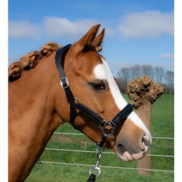 HB Showtime Halter Little Sizes Leather Glitty