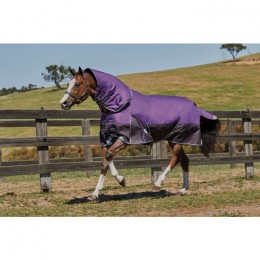 Weatherbeeta ComFiTec Plus Dynamic Detach-a-Neck Medium 220g Purple/Black