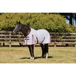 WeatherBeeta Summer Sheet Lite III