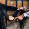 Роскошная щетка для ухода за гривой