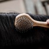 Роскошная щетка для ухода за гривой