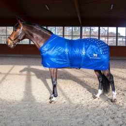 Accuhorsemat Original with acupressure mats