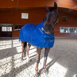 Accuhorsemat Cooler without mats