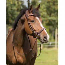 QHP Bridle Devi