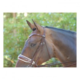 Dyon double bridle with large crack noseband brown, white padding