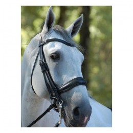 Dyon double bridle with large crack noseband