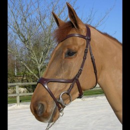 Dyon X-fit anatomic bridle