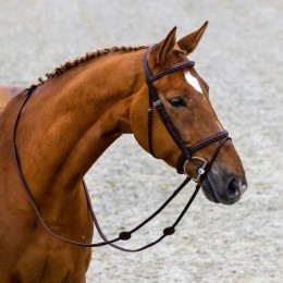 Trust Calgary bridle