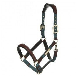 LeMieux SS'21 Sage Capella halter