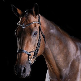 Collegiate ComFiTec Crystal Bridle