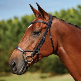 Collegiate ComFiTec Training Bridle