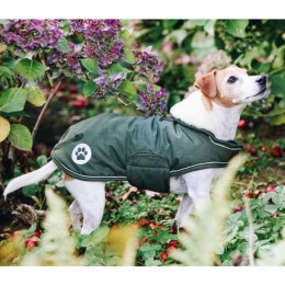 Kentucky Dog Coat Waterproof