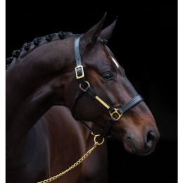 Amigo padded Leather Halter