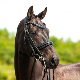 HB Showtime Double Bridle All You Needed