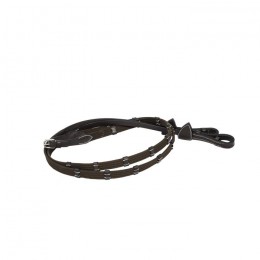 Dyon web reins
