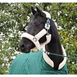 HB Showtime Forest Green Desir Fluffy halter