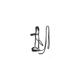 F.R.A. Hackamore Bridle Fiore