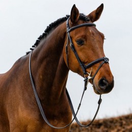 Trust Geneva bridle