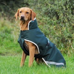 Bucas Greenline Dog Blanket