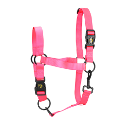 Excellent Horse Essential Halter